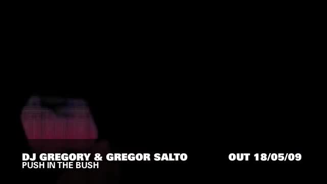 DJ Gregory & Gregor Salto